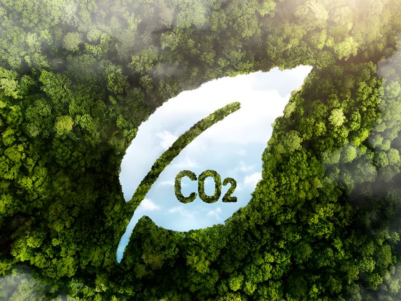 Carbon Management